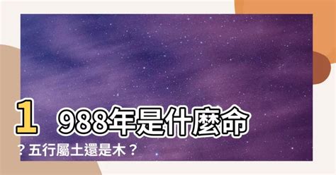 1988 土龍|【1988 什麼龍】1988 年五行屬什麼龍？你的命運、姻緣等你來解。